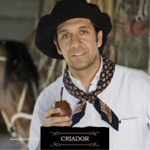 481 criador 481 criador